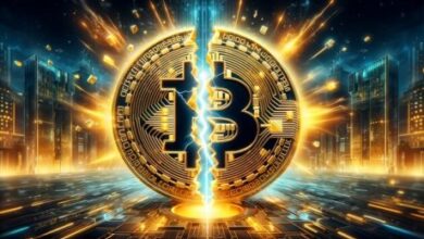 Photo of Historical Trends Show What To Expect For Bitcoin Price Following The Halving