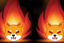 Photo of Shiba Inu Burn Rate Sees 81% Daily Increase, But Why Is Participation Low?