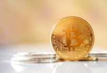 Photo of Bitcoin Halving Could Catalyzed $100,000 Price Surge: Bitwise CEO